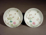 A fine pair of Daoguang famille rose saucers decorated with roses and insects